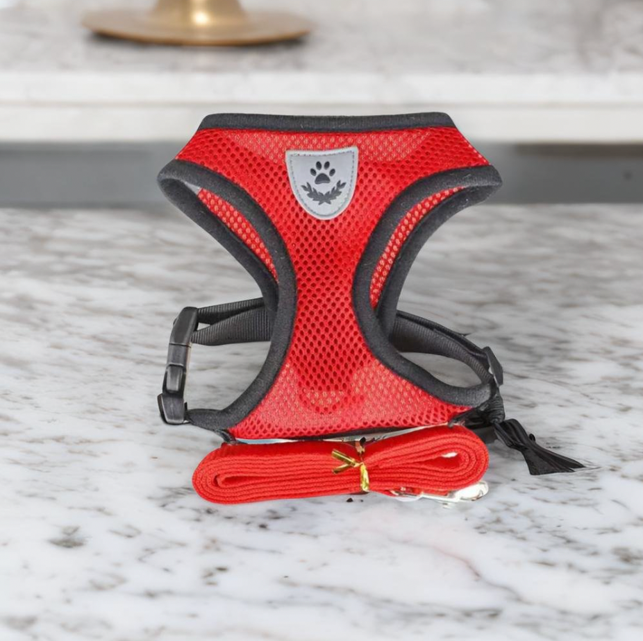 Kat Harnas en Leash Set, Ademend en Verstelbaar voor Katten en Kittens