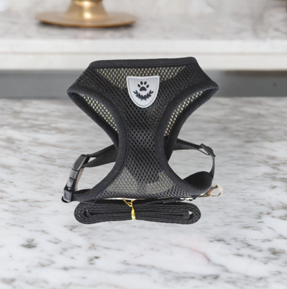 Kat Harnas en Leash Set, Ademend en Verstelbaar voor Katten en Kittens