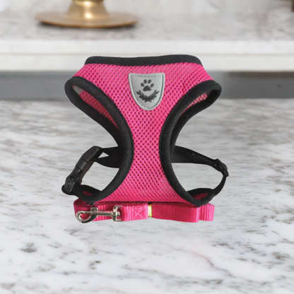 Kat Harnas en Leash Set, Ademend en Verstelbaar voor Katten en Kittens