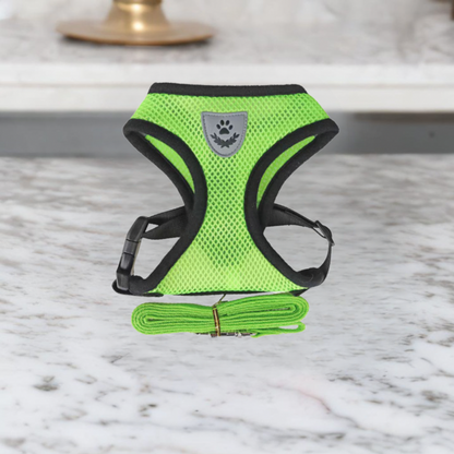Kat Harnas en Leash Set, Ademend en Verstelbaar voor Katten en Kittens