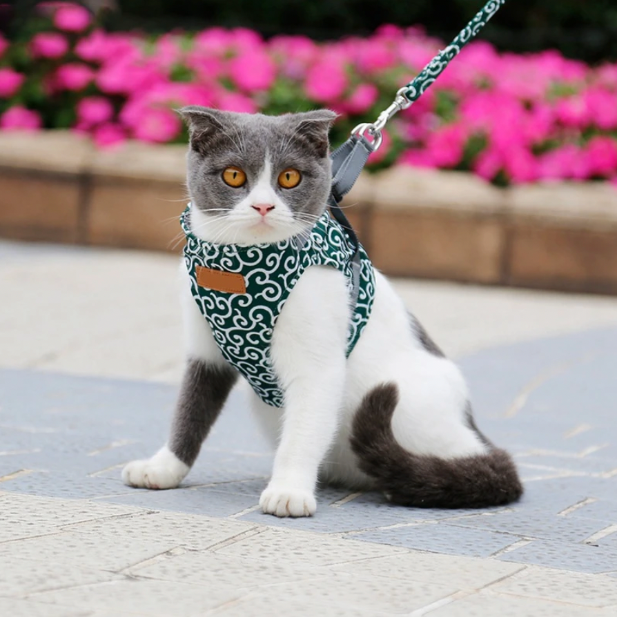 Kattenharnas Comfortabel met Verstelbare Leash voor Kitten en Kat
