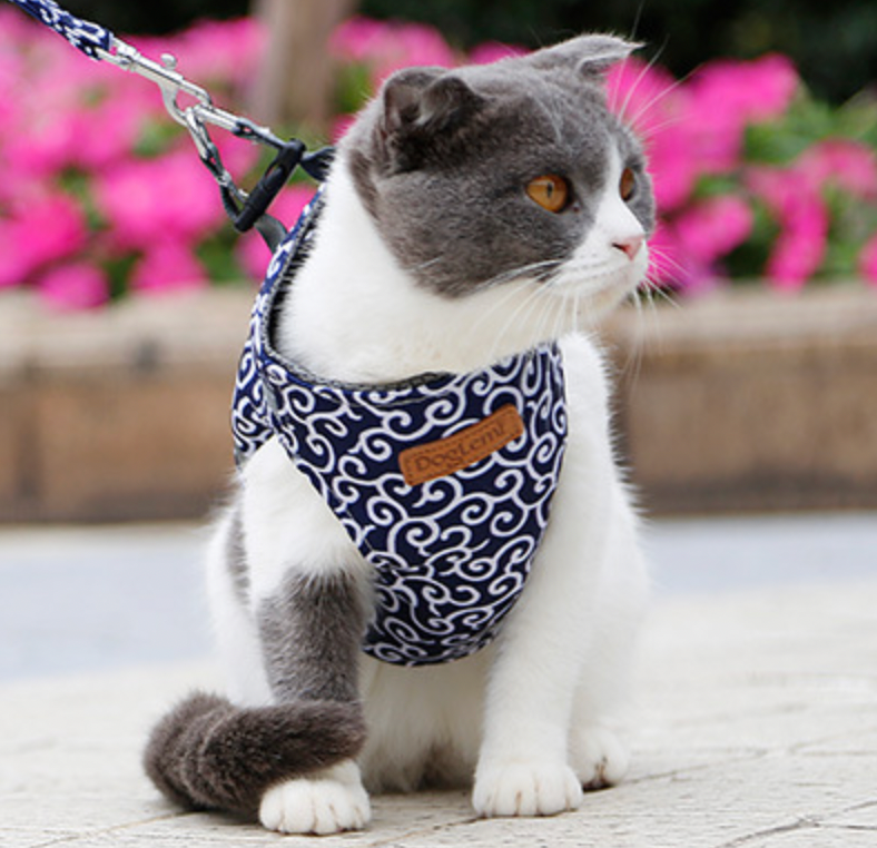 Kattenharnas Comfortabel met Verstelbare Leash voor Kitten en Kat - Velinix