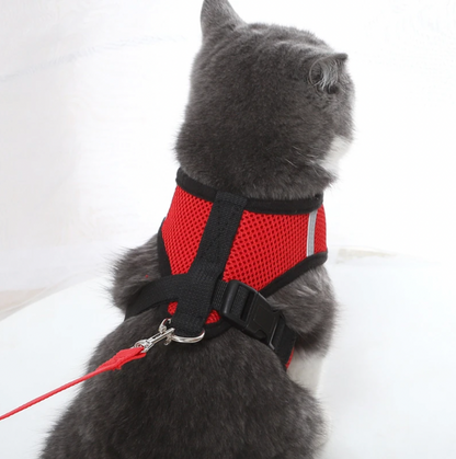 Kat Harnas en Leash Set, Ademend en Verstelbaar voor Katten en Kittens - Velinix