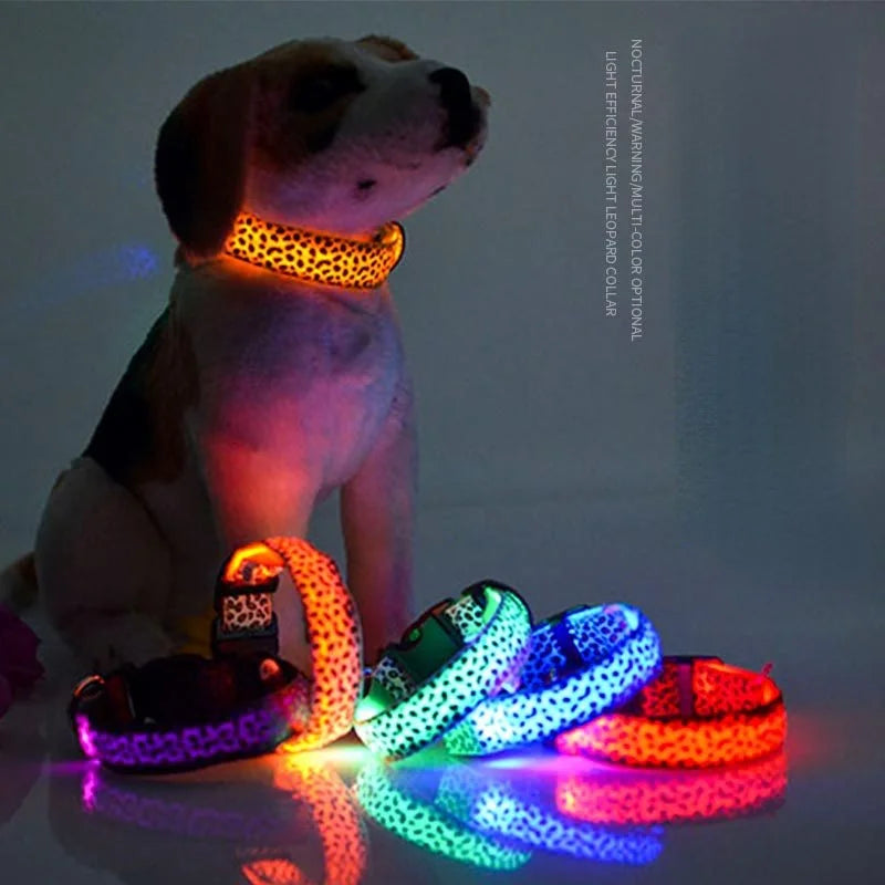 LED Hondenhalsband Reflecterend en Zichtbaar 's Nachts