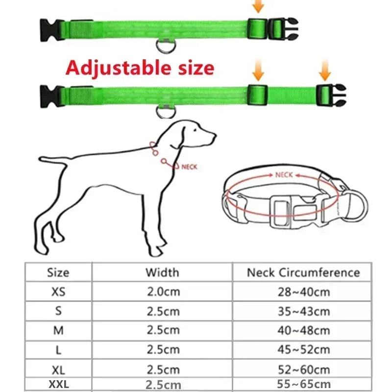LED Hondenhalsband Verlicht en Oplaadbaar Waterdicht