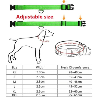 LED Hondenhalsband Verlicht en Oplaadbaar Waterdicht