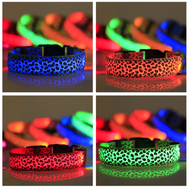 LED Hondenhalsband Reflecterend en Zichtbaar 's Nachts