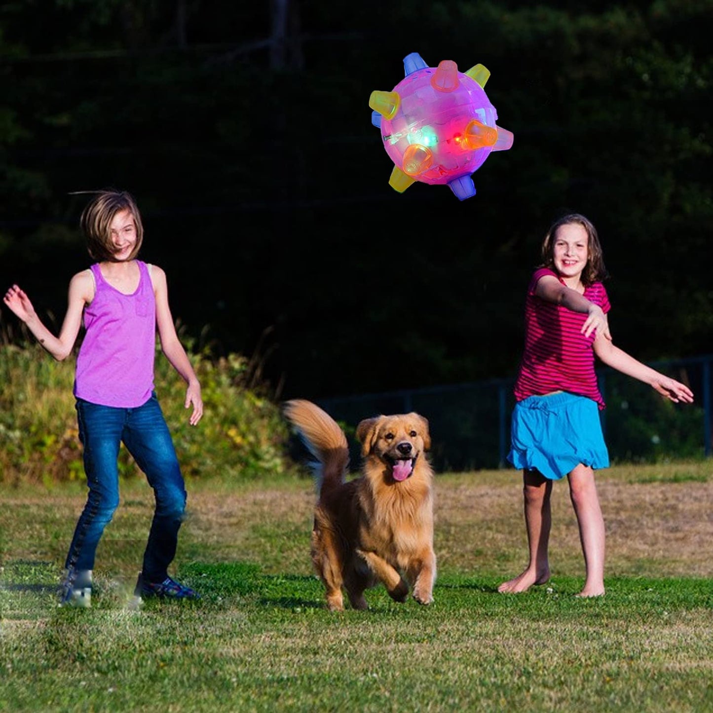 Interactieve Hondenspringbal BounceBuddy Leuk en Speels