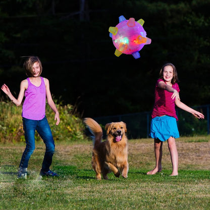 Interactieve Hondenspringbal BounceBuddy Leuk en Speels