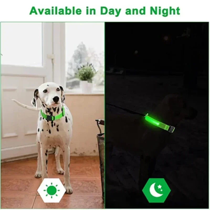LED Hondenhalsband Verlicht en Oplaadbaar Waterdicht