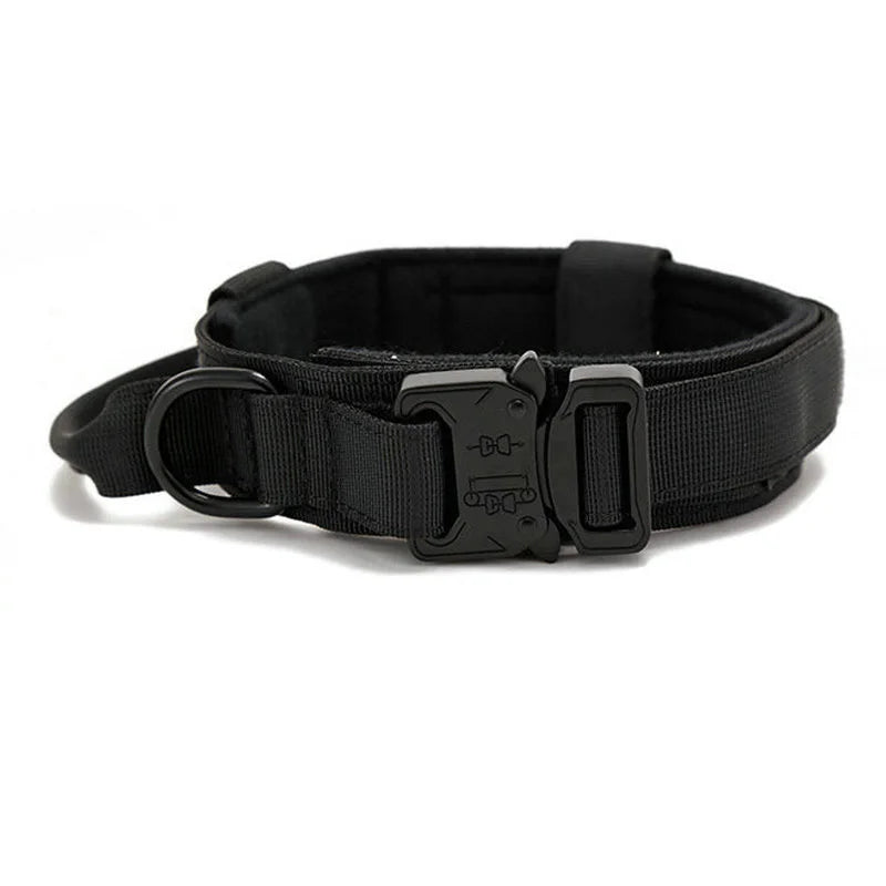 Reflecterende Hondenhalsband Set met Riem voor Training en Veiligheid