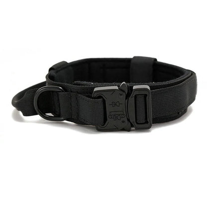 Reflecterende Hondenhalsband Set met Riem voor Training en Veiligheid