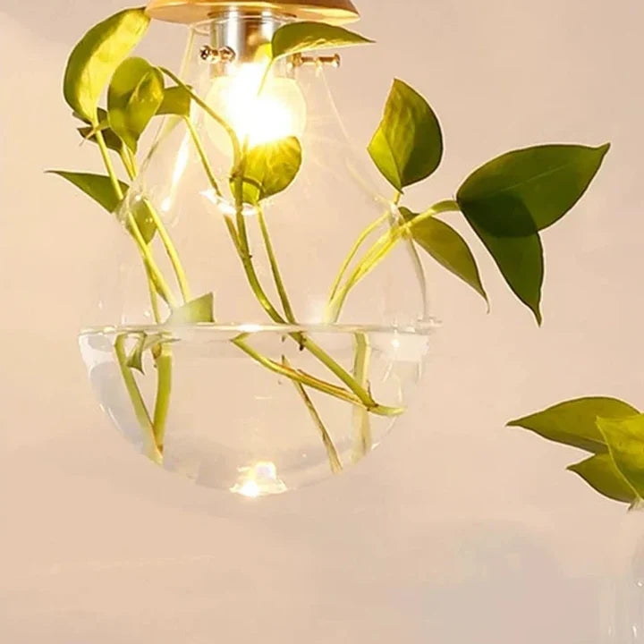 Unieke Hanglamp Glazen Bol met Planten Decoratie