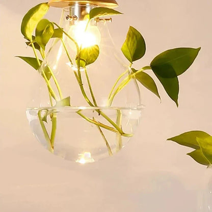Unieke Hanglamp Glazen Bol met Planten Decoratie