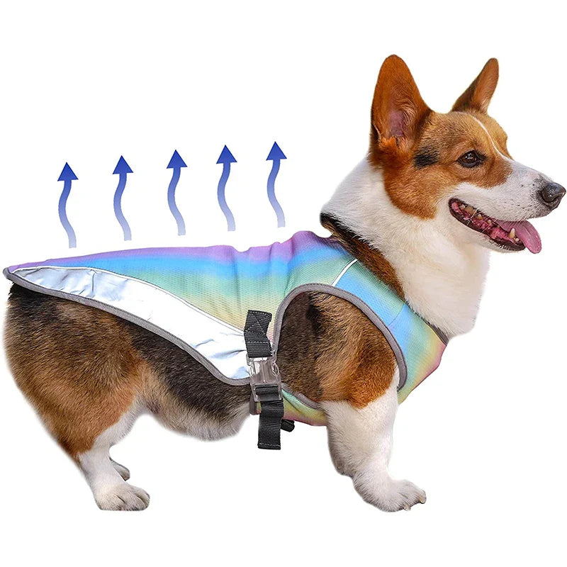 Hondenzonnebril Verkoelend Beschermend Comfortabel