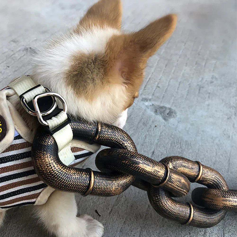 Mode Halsband Riem voor Honden met Stijl