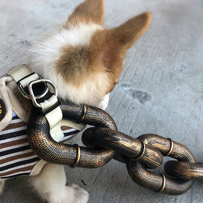 Mode Halsband Riem voor Honden met Stijl