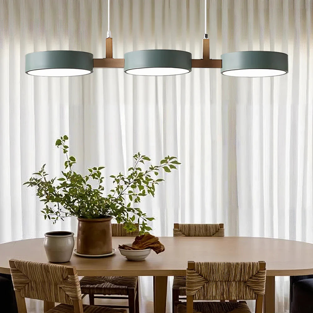 Nordic Plafondlamp Metalen Led Dimbaar Design