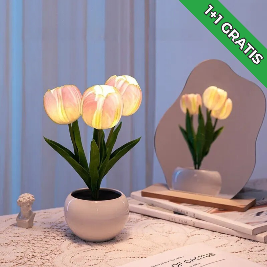 LED Lamp Forallamp Dimbaar Modern Design - Velinix