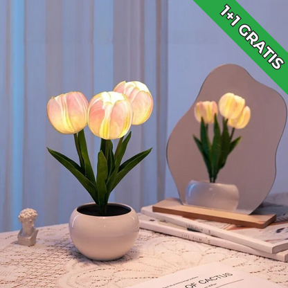 LED Lamp Forallamp Dimbaar Modern Design - Velinix