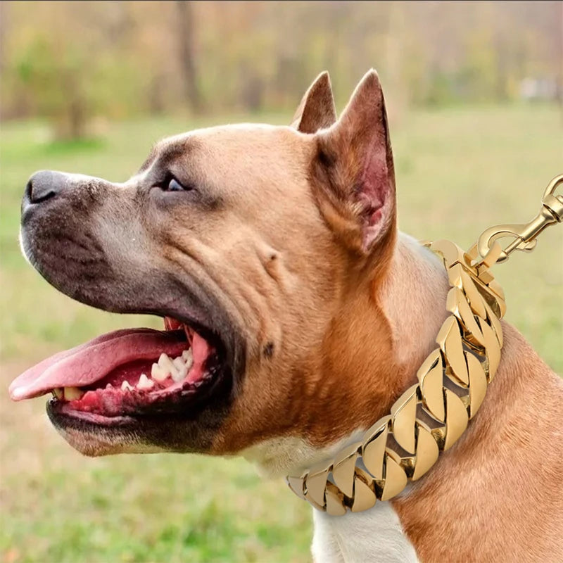 Sterke Metalen Hondenhalsband voor Grote Honden RVS