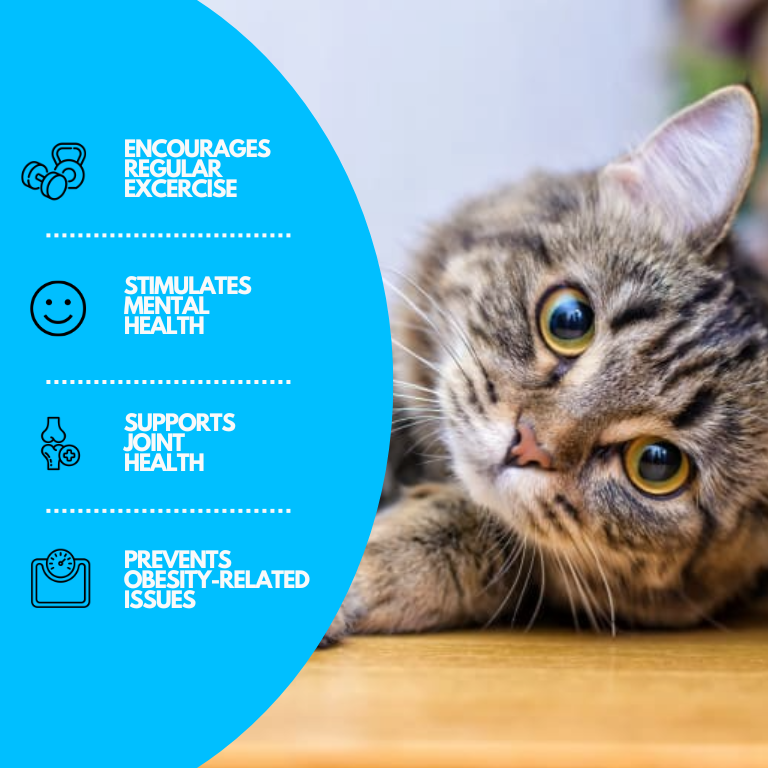Katten Speelmat met Water voor PLEZIER
