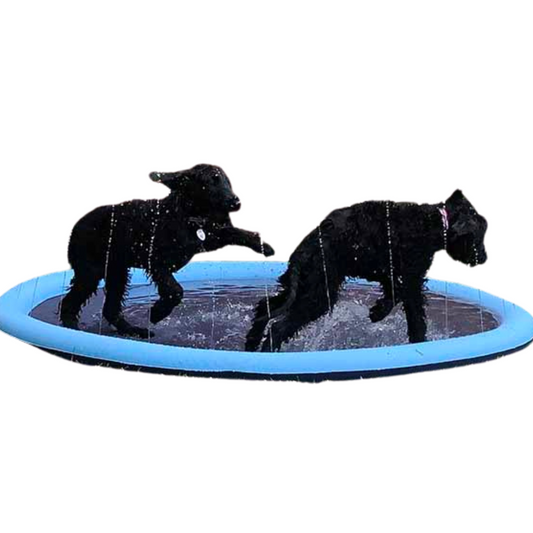 Honden Speelgoed en Accessoires voor Watersport - Velinix