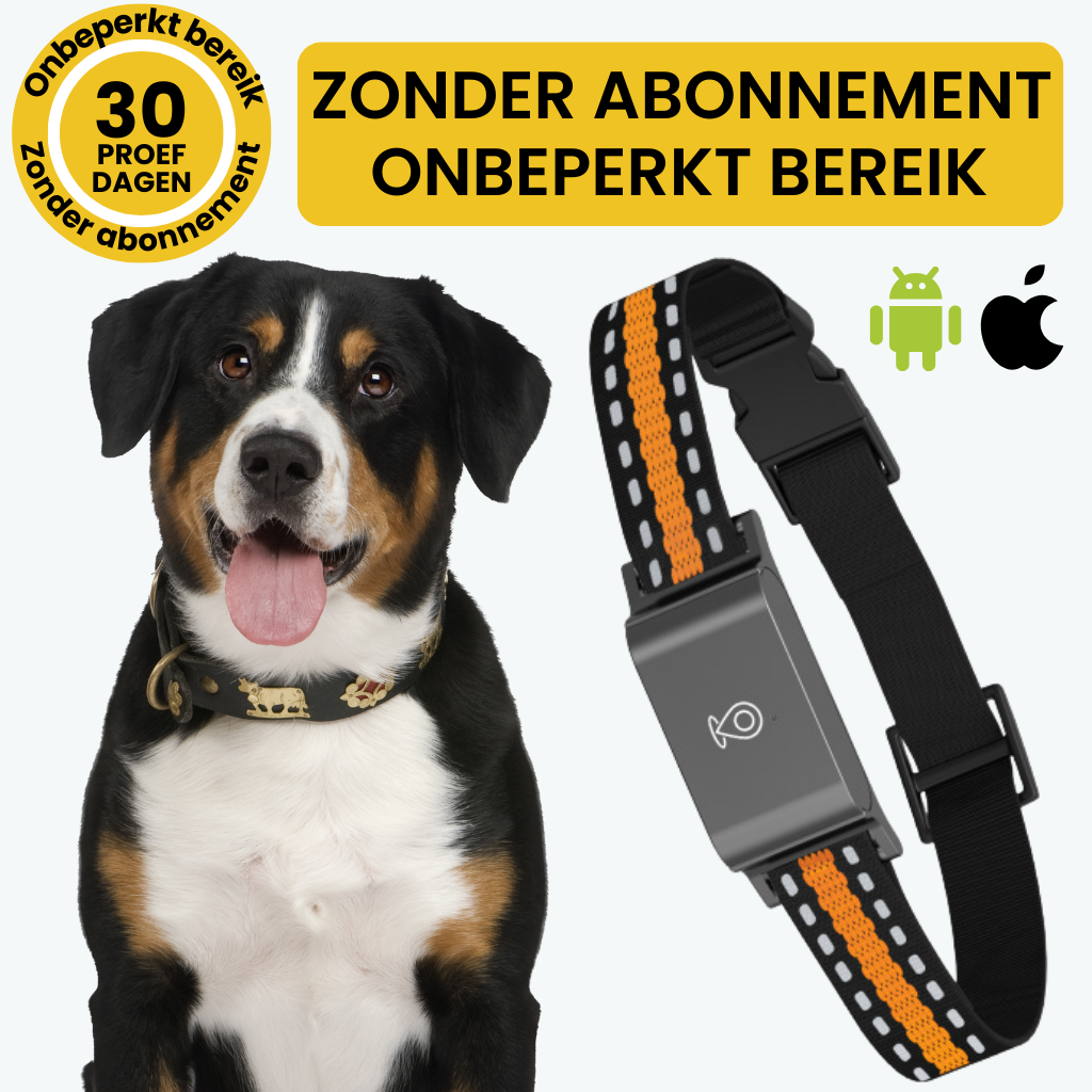 Velinix™ – GPS Halsband Hond Zonder Abonnement