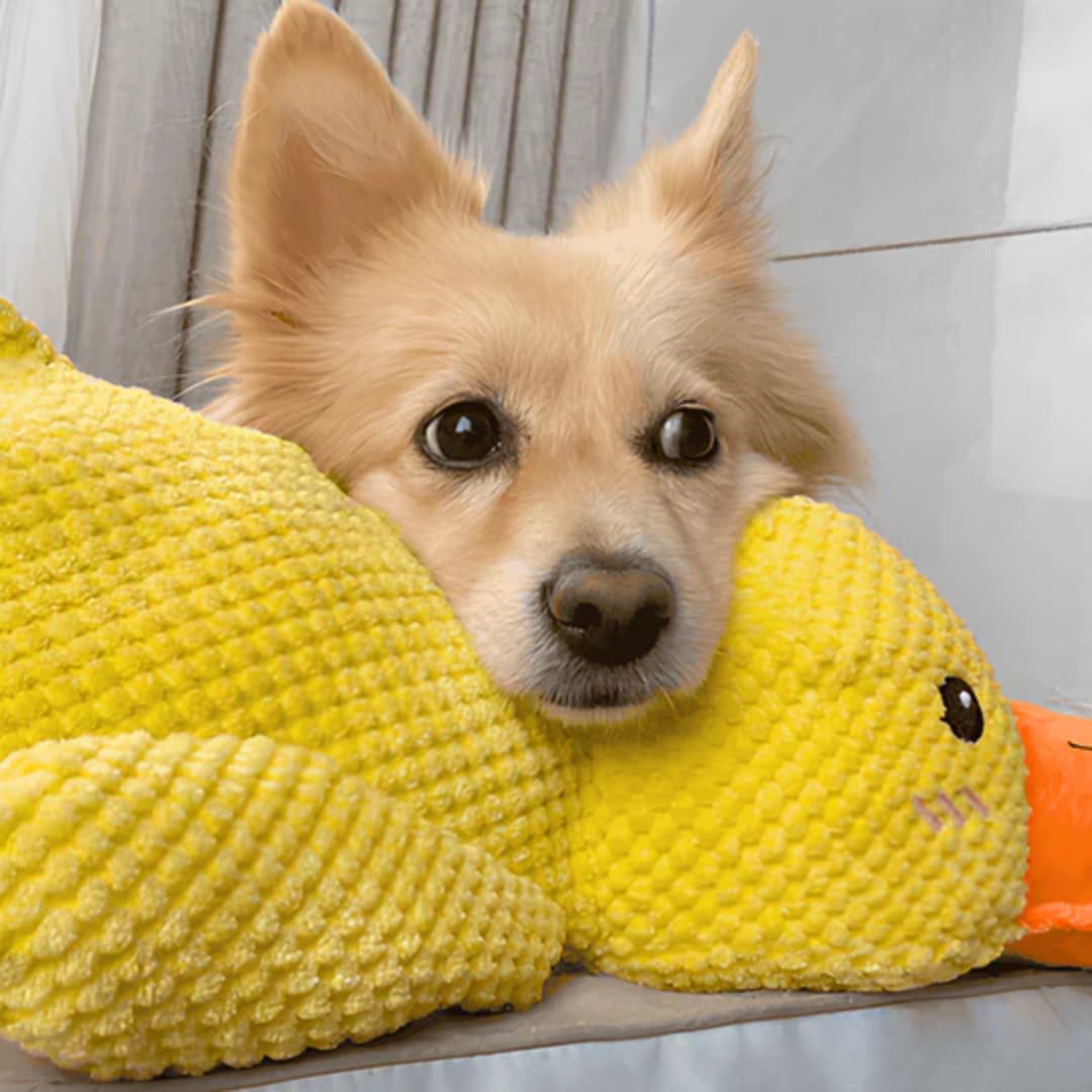 Eend Kalmerend Speelgoed voor Honden Rust