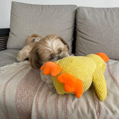 Eend Kalmerend Speelgoed voor Honden Rust