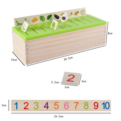 Houten Sorteringsdoos Montessori voor Kinderen Leer en Speel