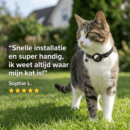 Velinix™ – GPS Halsband voor Kat Zonder Abonnement (iOS & Android)