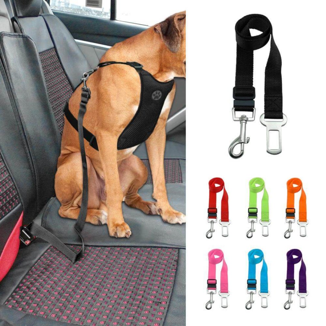 Hond Veiligheidsgordel Auto Verstelbaar met Click Sluiting - Velinix