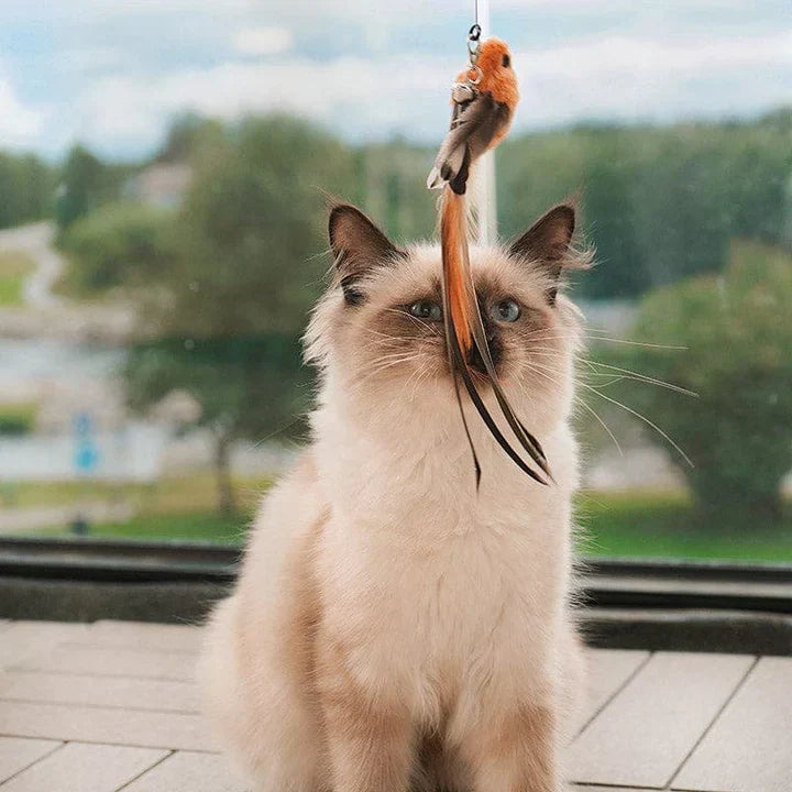 Kat Speelgoed Realistische Vogel Bewegingen Veilig Interactief