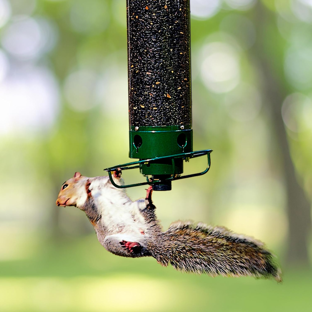 Eekhoornbestendig Vogelvoederhuis Metaal Hangend voor Tuin - Velinix