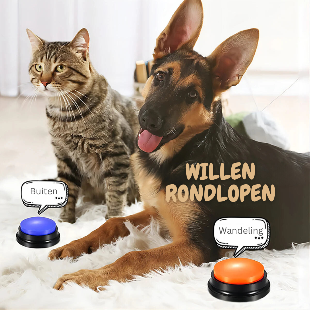 Hond Communicatie Knoppen voor Duidelijke Gesprekken