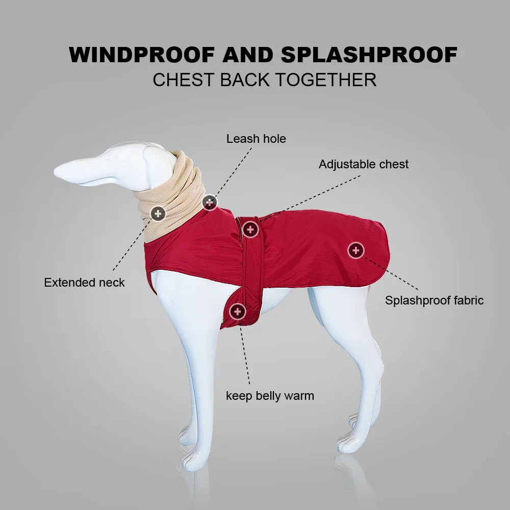Waterdichte Hondenjas voor Middelgrote Honden - Warm en Comfortabel Hondenjasje voor de Winter 4