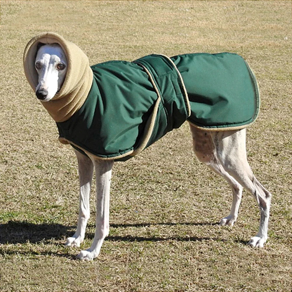 Waterdichte Hondenjas voor Middelgrote Honden - Warm en Comfortabel Hondenjasje voor de Winter 6