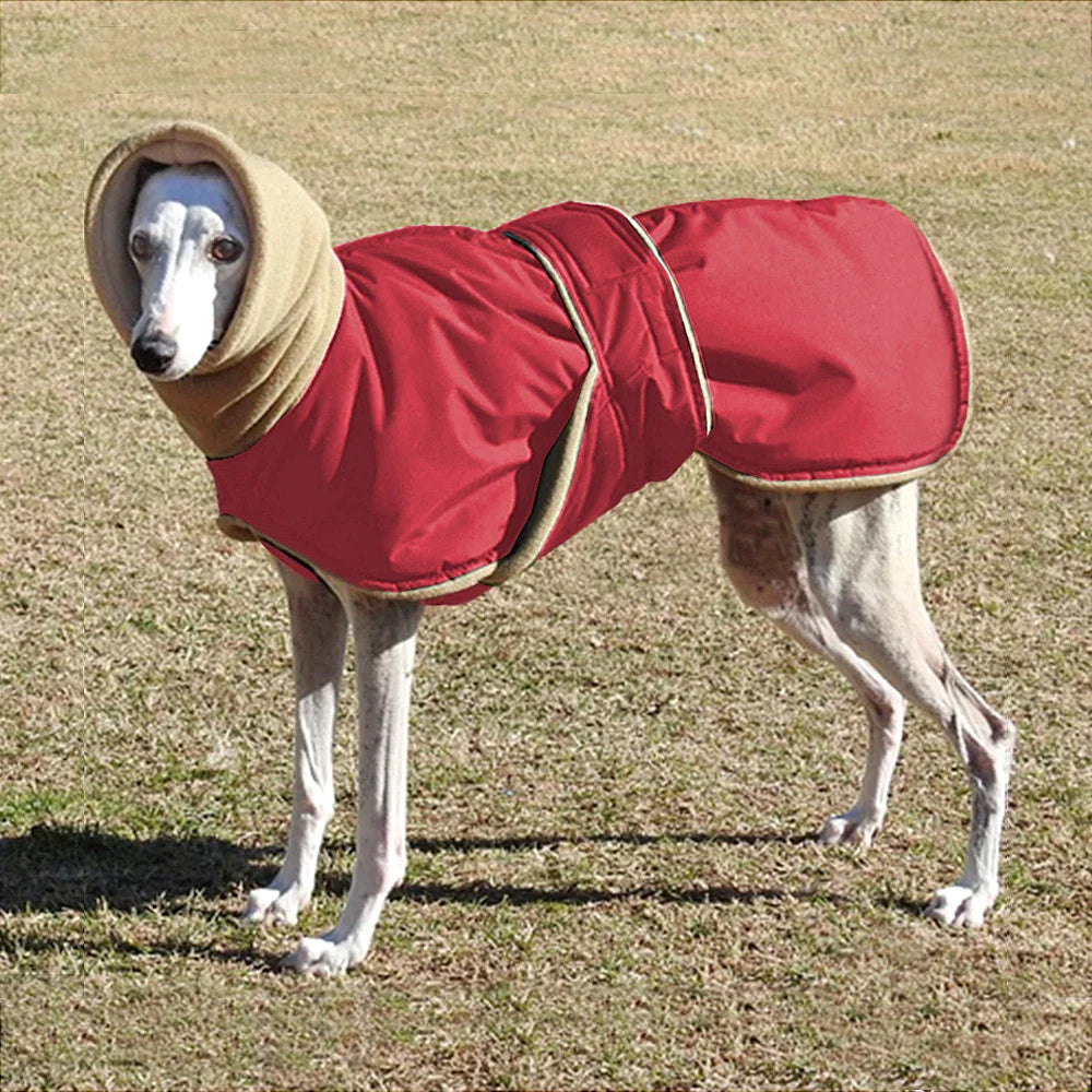Waterdichte Hondenjas voor Middelgrote Honden - Warm en Comfortabel Hondenjasje voor de Winter 8