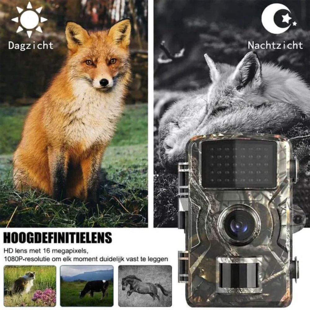 Buitencamera met Nachtzicht en Bewegingsdetectie HD