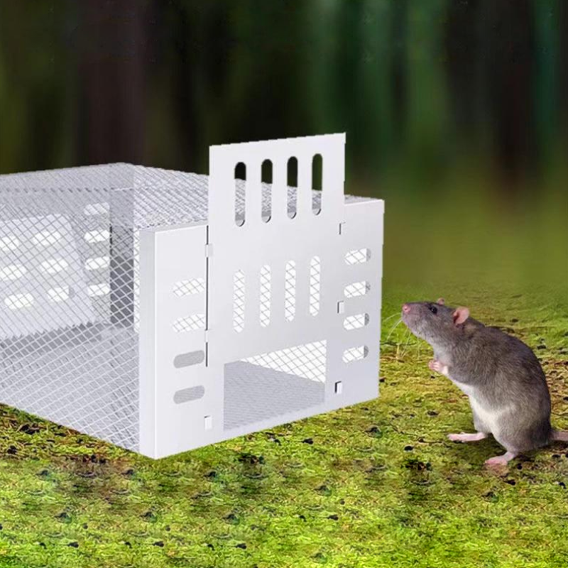Muizenval Humane Buiten en Binnen voor Huis en Tuin