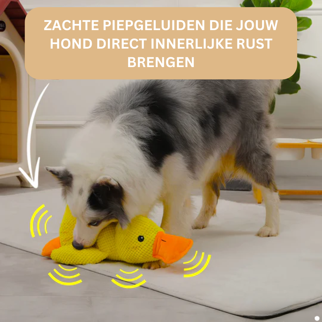 Eend Kalmerend Speelgoed voor Honden Rust