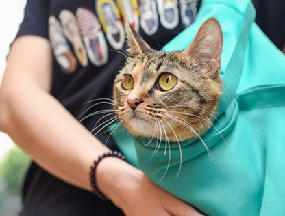 Kattenreistas en Verzorgingstas Set