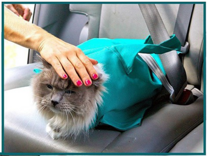 Kattenreistas en Verzorgingstas Set