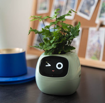 Emoji Bloempot Kleurrijk Creatief Decoratie