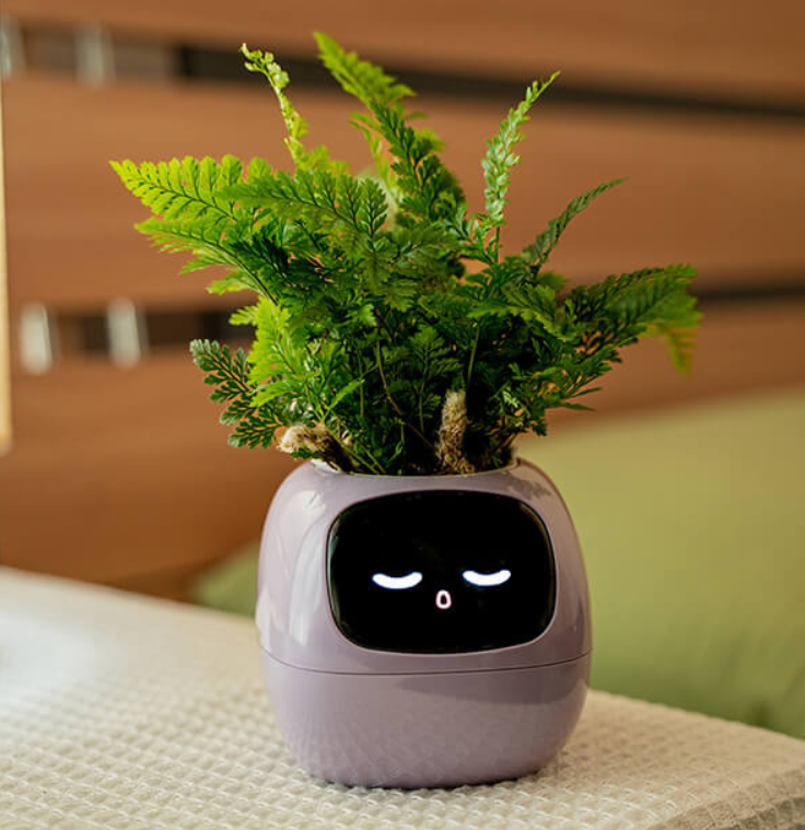 Emoji Bloempot Kleurrijk Creatief Decoratie