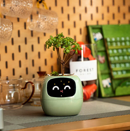 Emoji Bloempot Kleurrijk Creatief Decoratie - Velinix