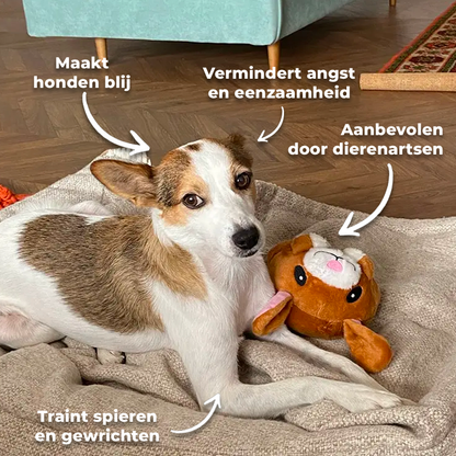 Hondenspeeltje Slim Interactief Beweegbaar voor Actieve Honden