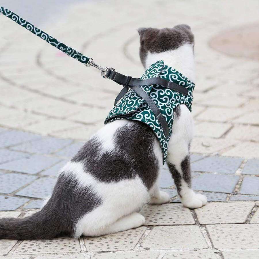 Katten Harnas Set Ademend Gaas Verstelbaar voor Buiten