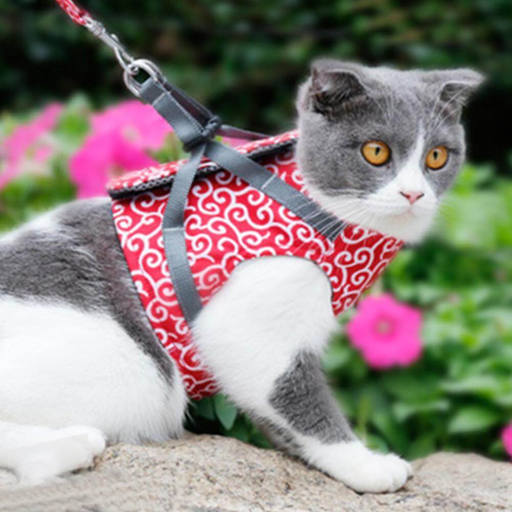Katten Harnas Set Ademend Gaas Verstelbaar voor Buiten